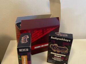 Backpack Boyz Disposable Vapes - Crypto Funk